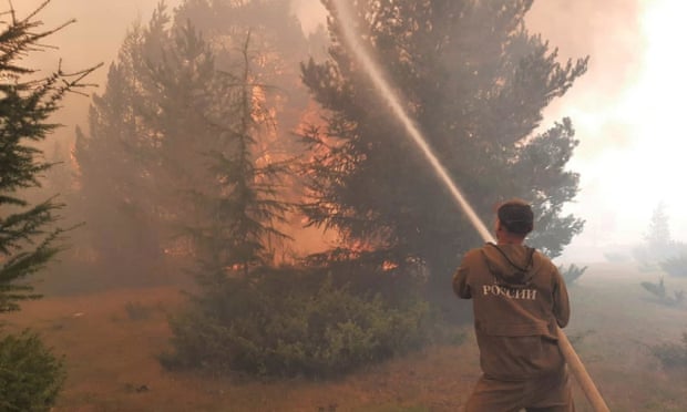 Russia woodland hearthplace harm worst considering the fact that information began, says Greenpeace