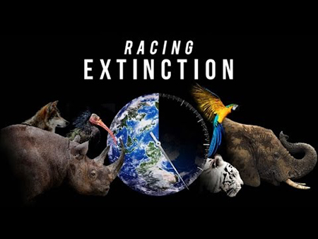 Hollywood Movie Racing Extinction Plot Summary Reviews Actors Quotes 2015
